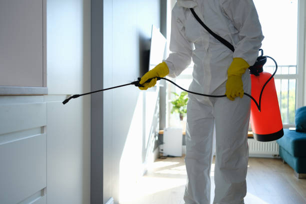 Best Water Damage & Mold Remediation  in Rion Center, MA